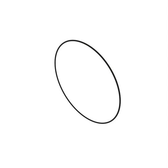 O-Ring 265X3,57 Fkm 598 Lan - L56243,  image number 1