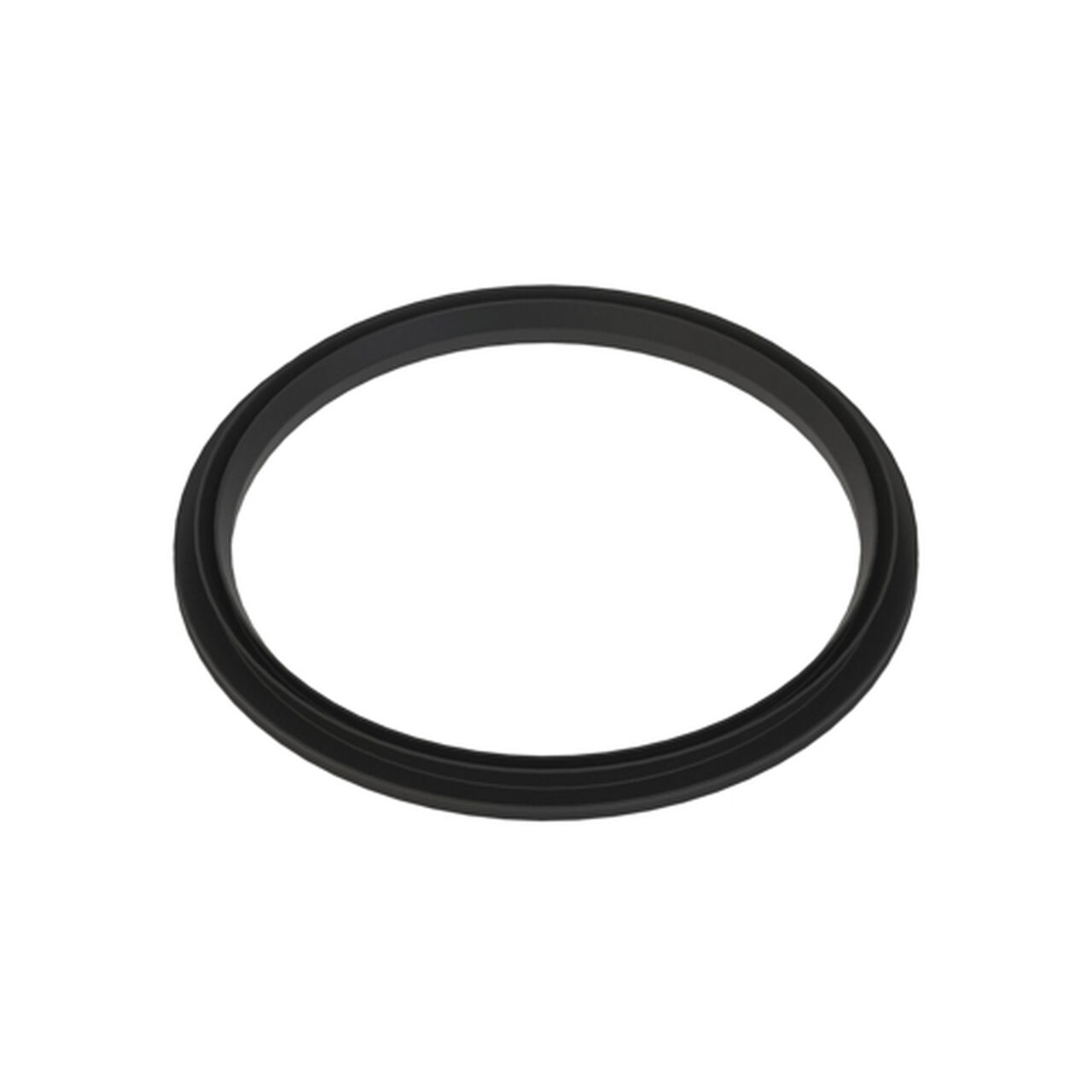 V-Ring Seal, Double Lip Seal, Front - L201689,  image number 1