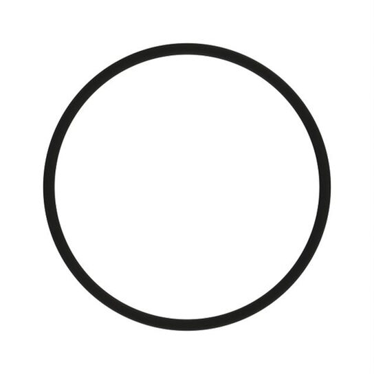 O-Ring - M43518,  image number 1