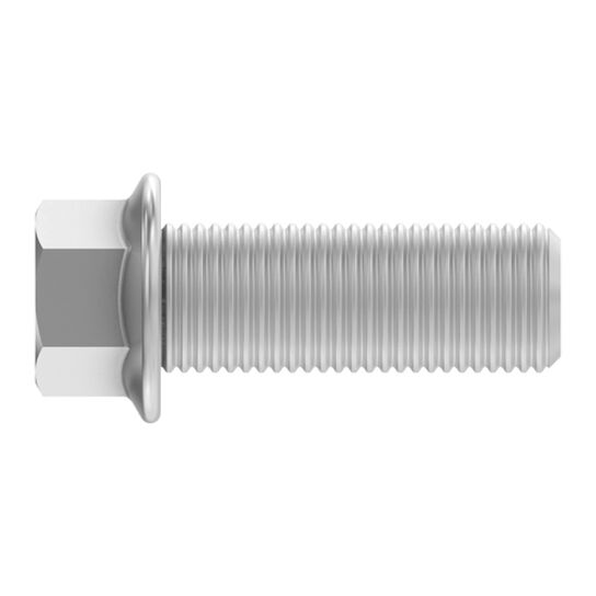 Screw - R528085,  image number 2