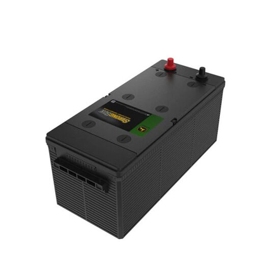 12 Volt Wet Charged Battery, 110 Ah, 800 CCA, D1 BCI - TY26773B,  image number 0