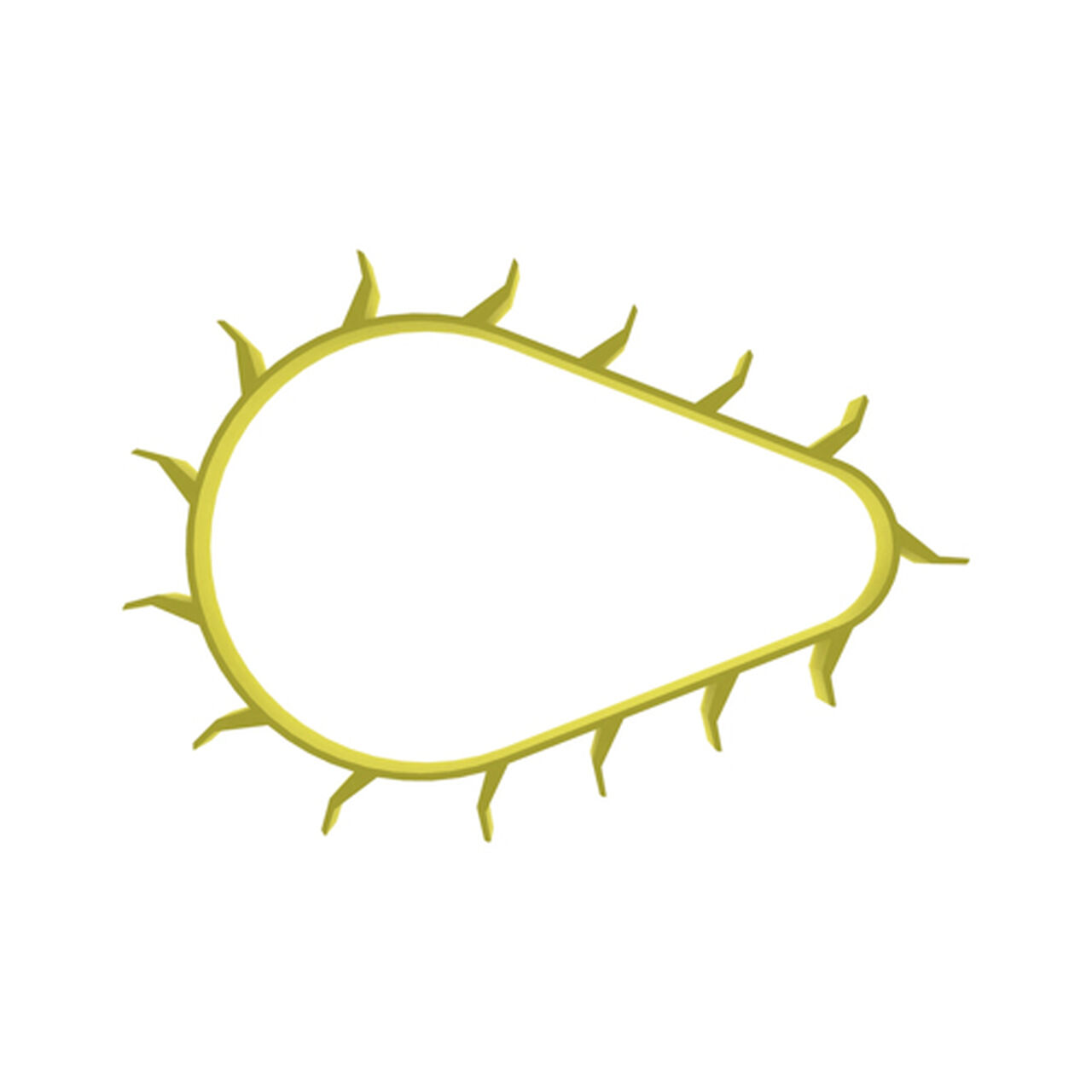 Planter Corn Meter Belt - A67976,  image number 3