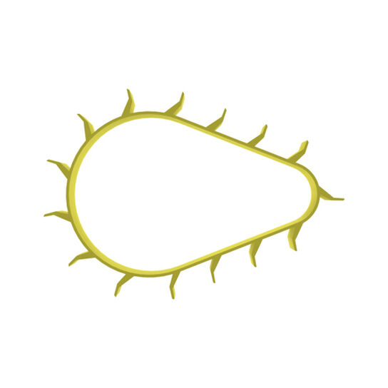 Planter Corn Meter Belt - A67976,  image number 3