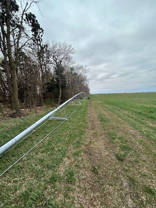 2006 8000 - 439645,  image number 3