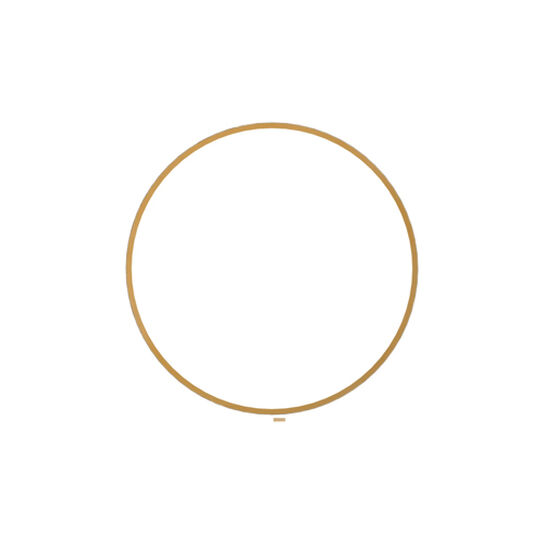 Transmission Ring - R43659,  image number 1