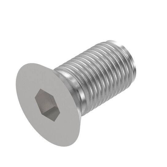 Screw-Recessed 1/2in x 1in - N103236,  image number 0