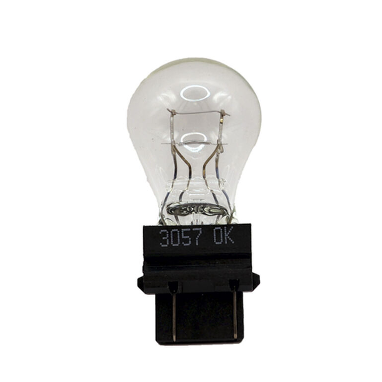 Light Bulb - H133384, 