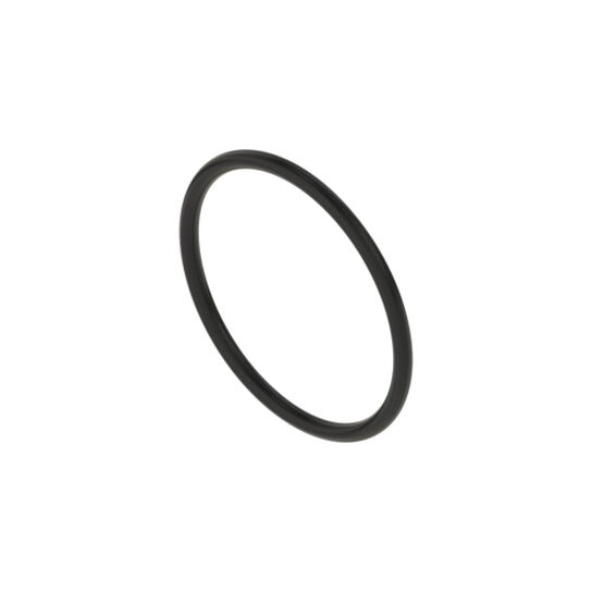 Strainer Gasket - PMLST100-G,  image number 1