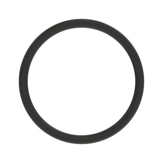 O-Ring  31X2.5  H4A  70  Lan641 - L34995,  image number 2
