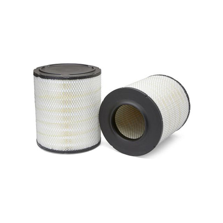 Air Filter - AF25139M, 