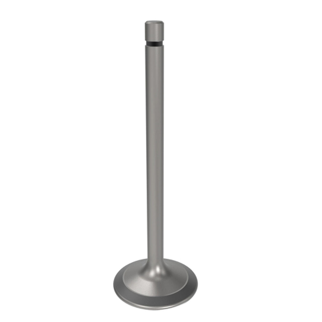 Engine Intake Valve - R504060,  image number 2