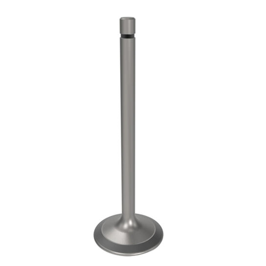 Engine Intake Valve - R504060,  image number 2