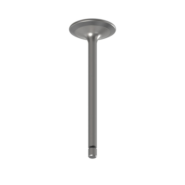 Engine Intake Valve - R504060, 