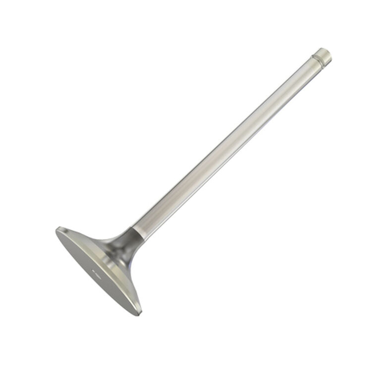 Exhaust Valve - R90692, 