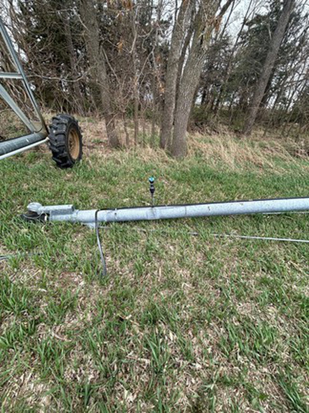 2006 8000 - 439645,  image number 4