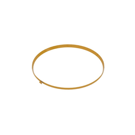 Transmission Ring - R43659,  image number 2