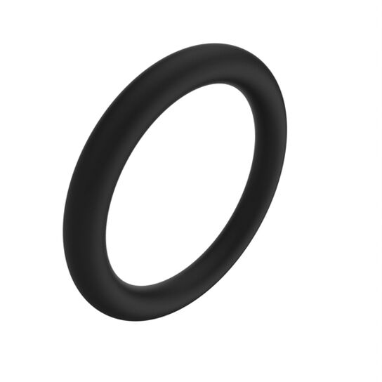 O-Ring - R495R,  image number 1
