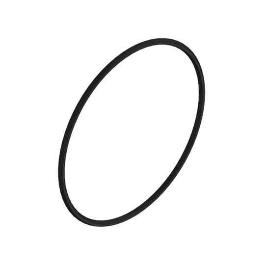 O-Ring - R11120,  image number 0