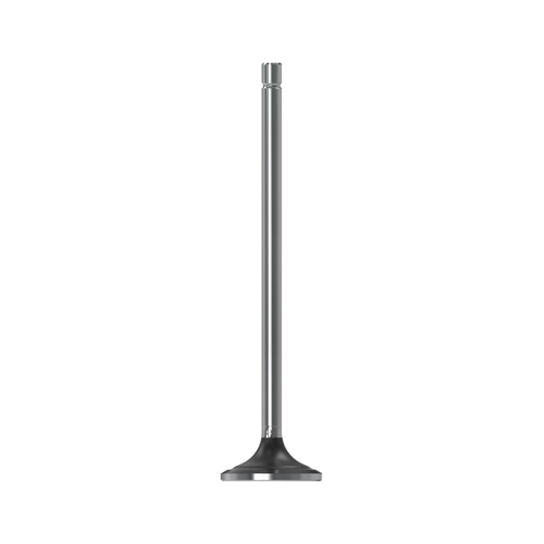 Exhaust Valve - R520224,  image number 2