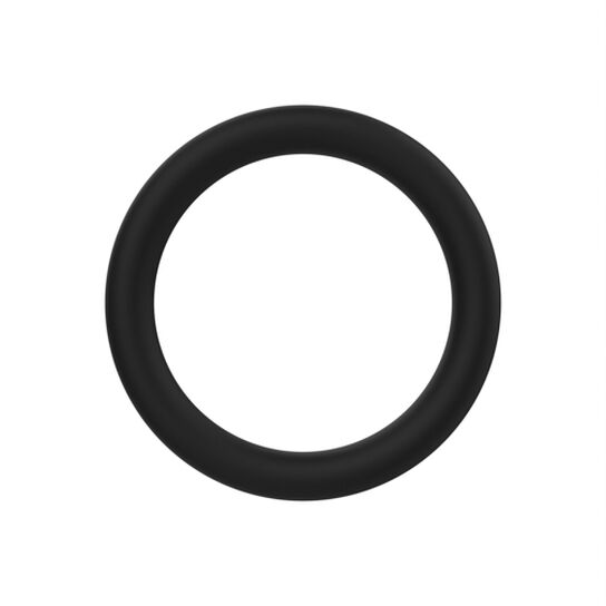 O-Ring - R495R,  image number 2