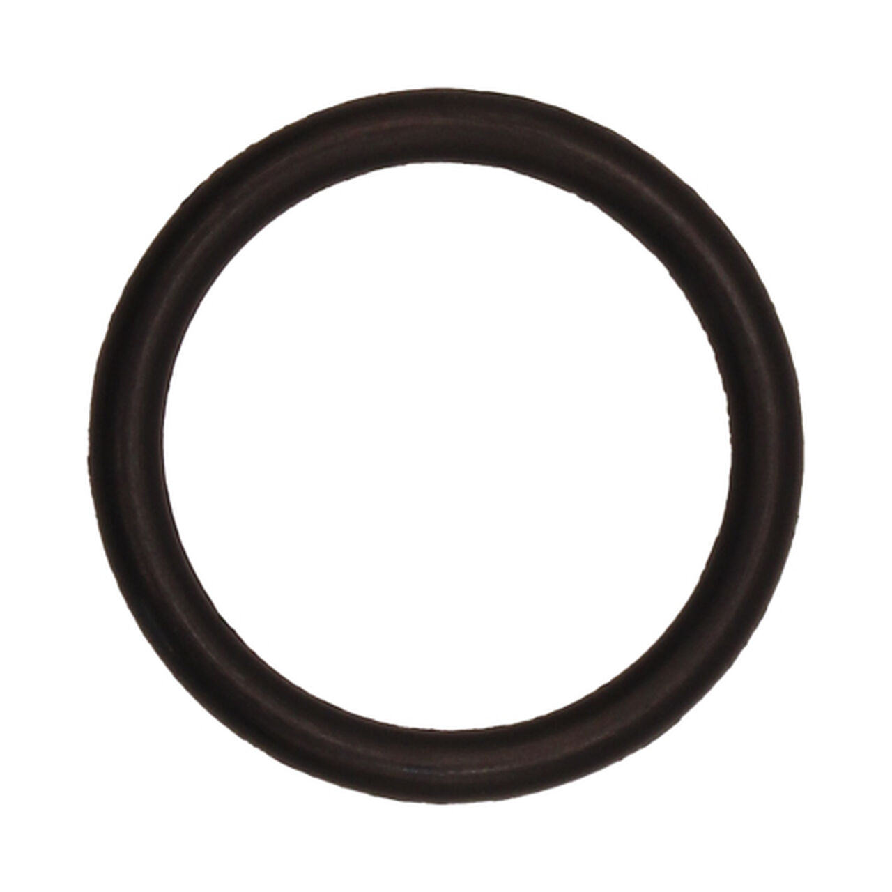 O-Ring - P47889,  image number 0
