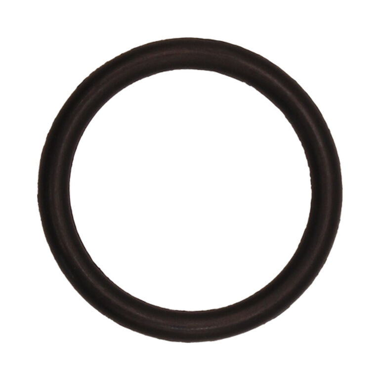 O-Ring - P47889, 
