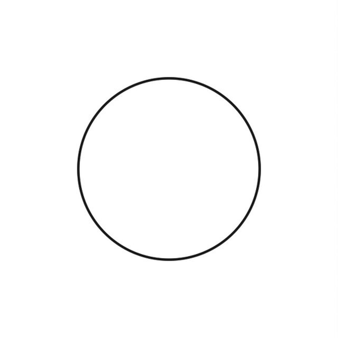 O-Ring 265X3,57 Fkm 598 Lan - L56243,  image number 0