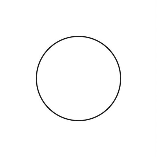 O-Ring 265X3,57 Fkm 598 Lan - L56243,  image number 0