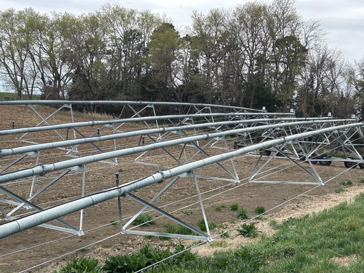 2006 8000 - 439645,  image number 13