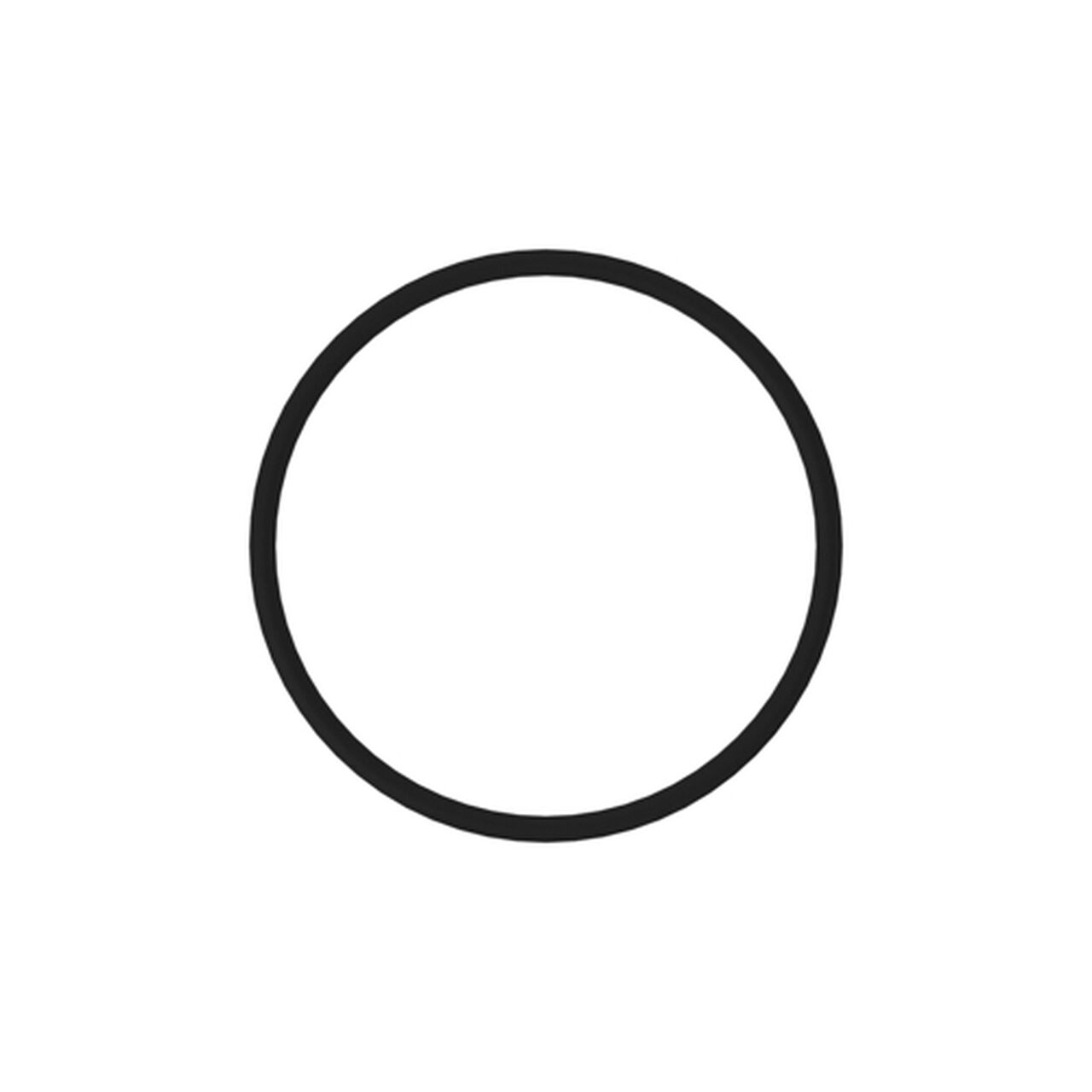 O-Ring - R95494,  image number 0