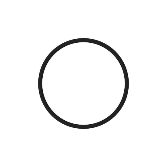 O-Ring - R95494,  image number 0