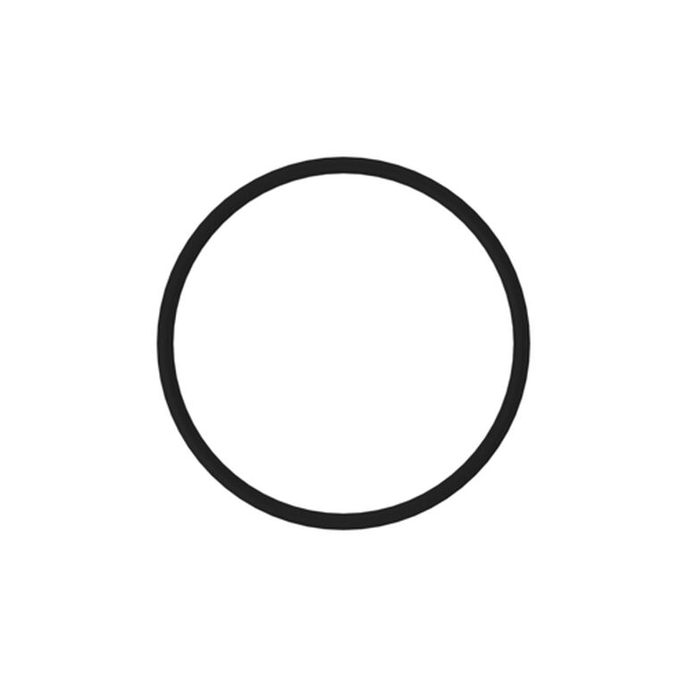 O-Ring - R95494, 