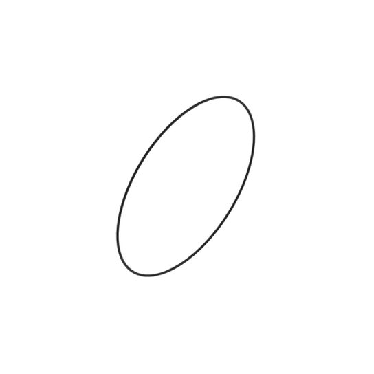 O-Ring 299 X 3,75 Fkm 598 - L56246,  image number 2