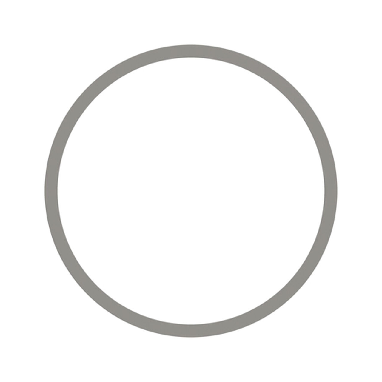Strainer, Gasket Fits 1-1/2-In. - PMLS150-G,  image number 2