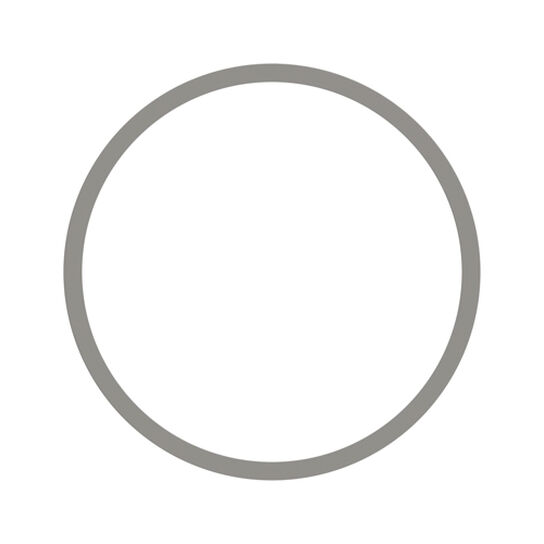 Strainer, Gasket Fits 1-1/2-In. - PMLS150-G,  image number 2