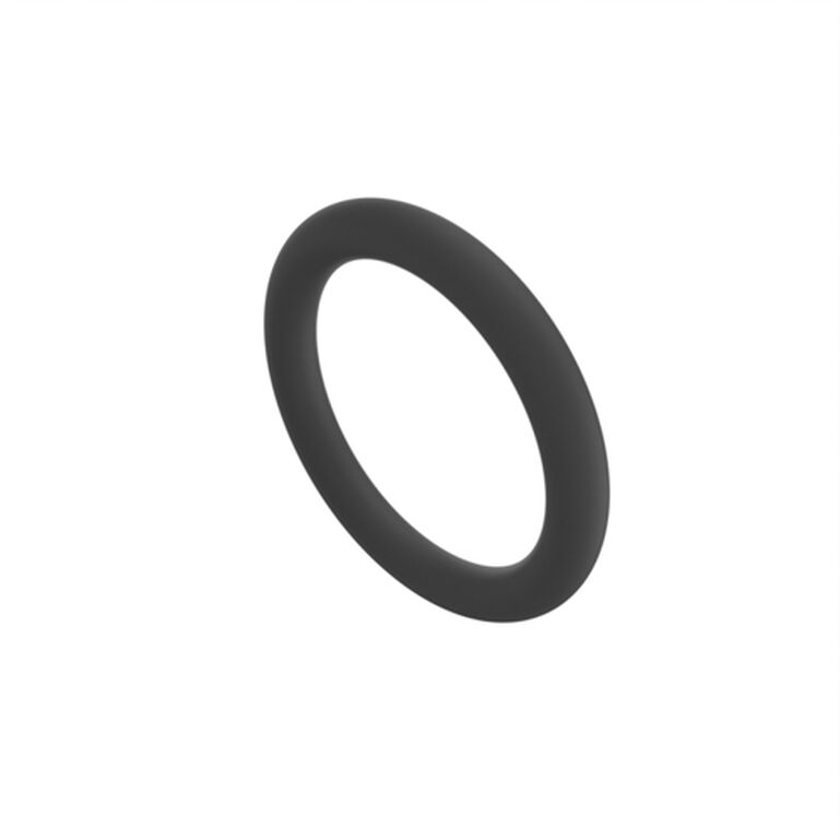 O-Ring - R113050, 