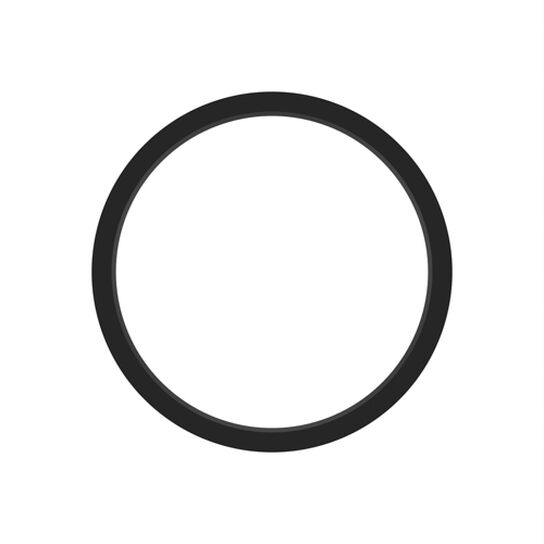 Seal Ring - R204520,  image number 1