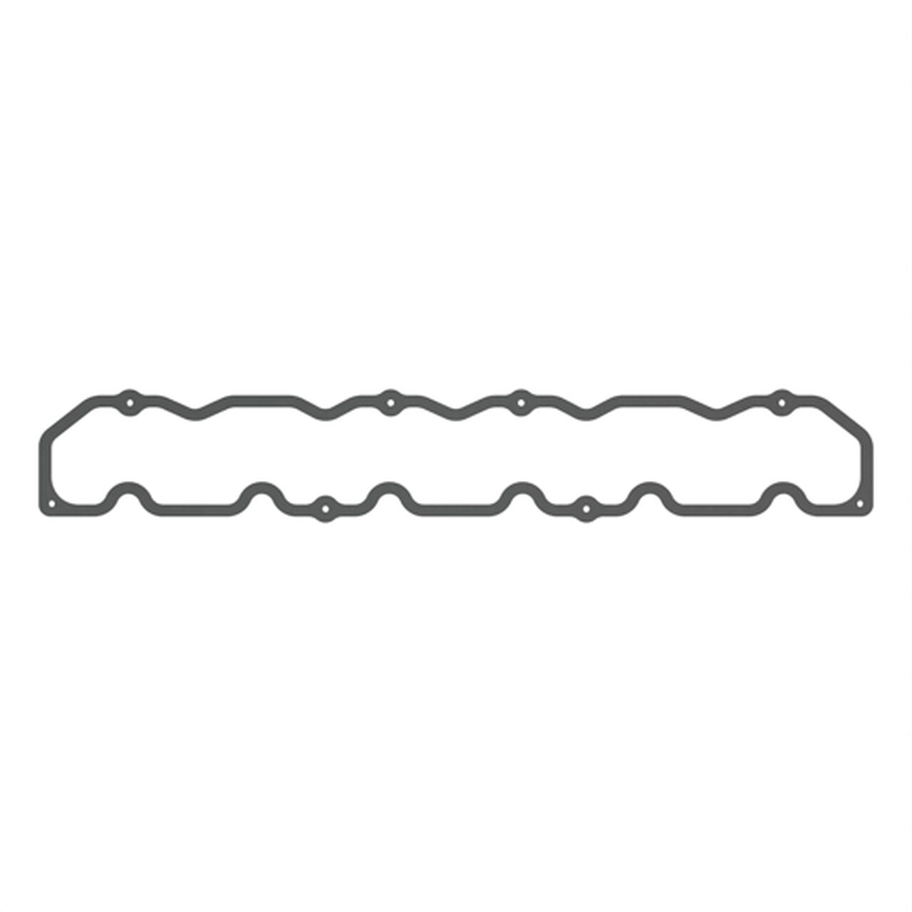 Gasket, Rocker Arm Cover - R49865,  image number 0