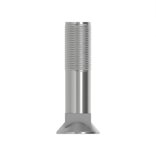 Plow Bolt 5/8in x 2-3/4in - 10H1082,  image number 2