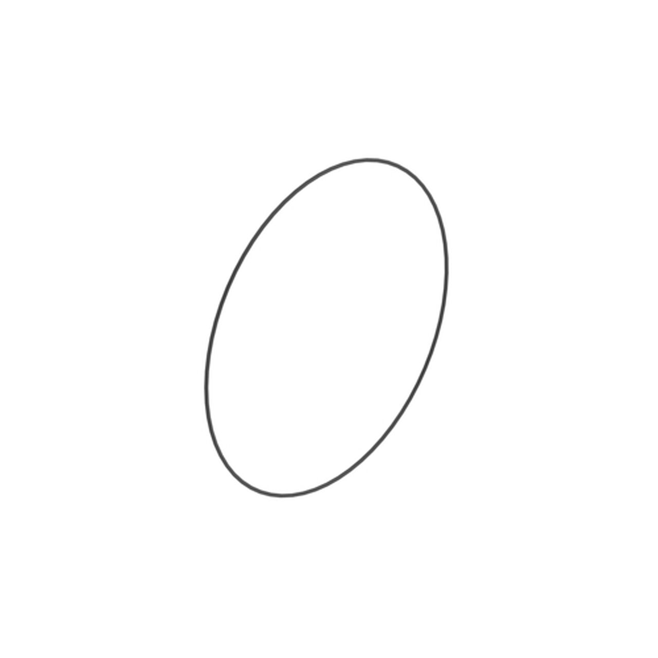 O-Ring 299 X 3,60 Fkm 598 Lan64170 - L116345,  image number 0