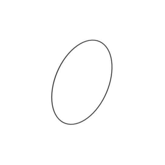 O-Ring 299 X 3,60 Fkm 598 Lan64170 - L116345,  image number 0