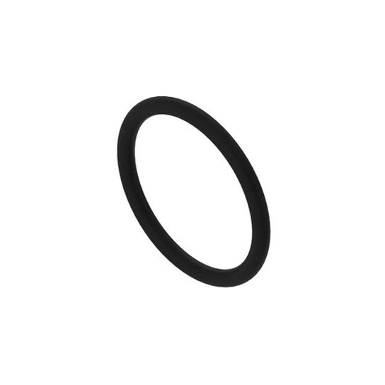 O-Ring S 67 - N205057,  image number 1