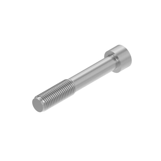 Screw M10 x 70 - 19M8131,  image number 0