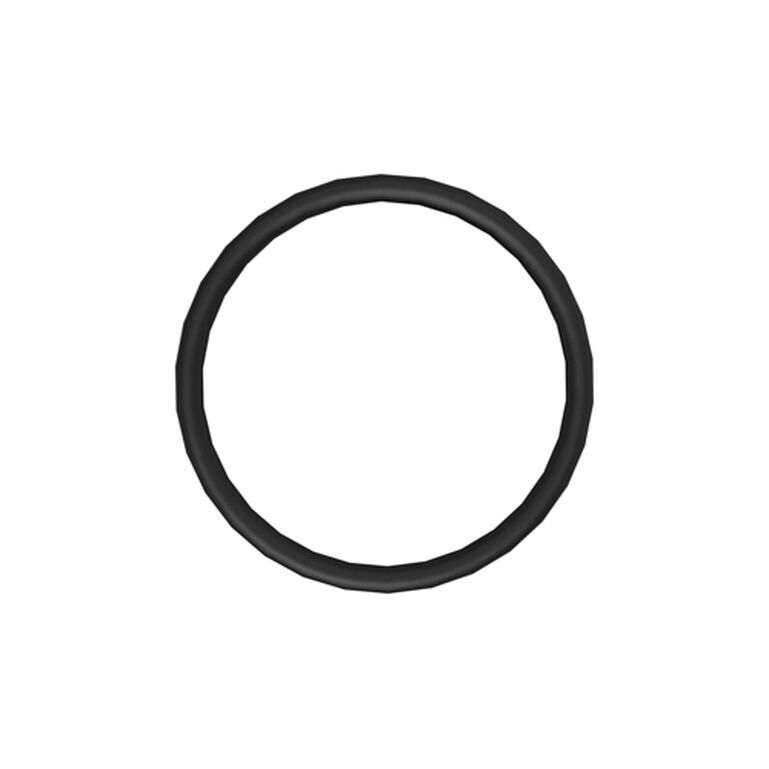 O-Ring - L113950, 